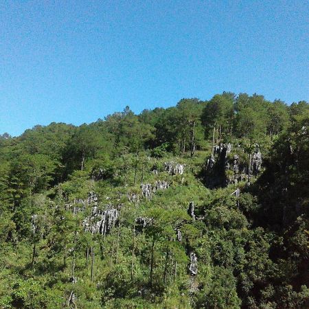 Mother Marry Inn Sagada Exterior photo